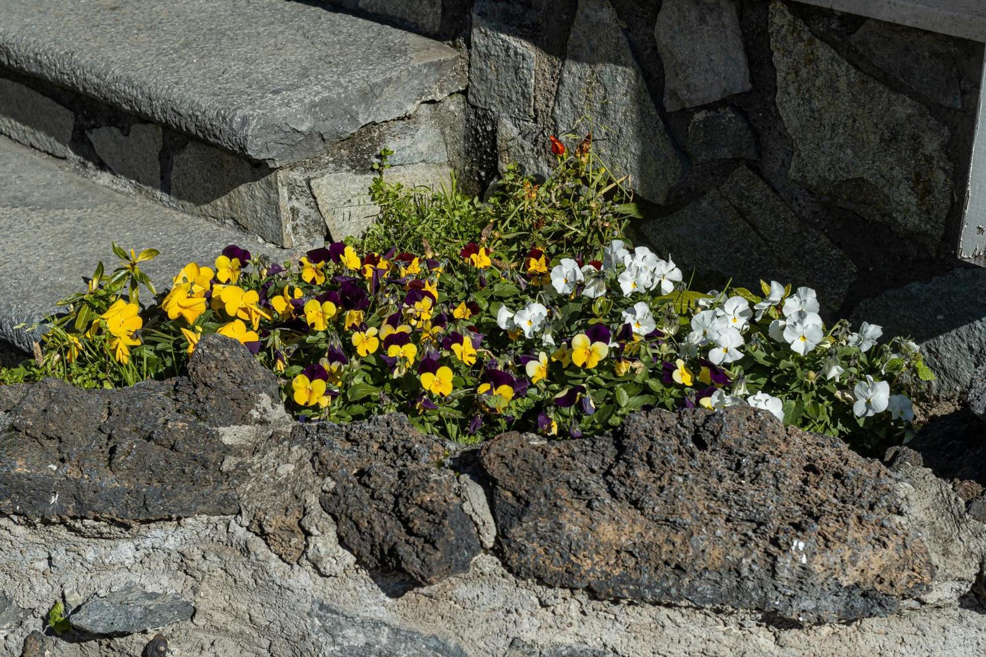 B&B Vesuvian Stone Pompei Exterior foto